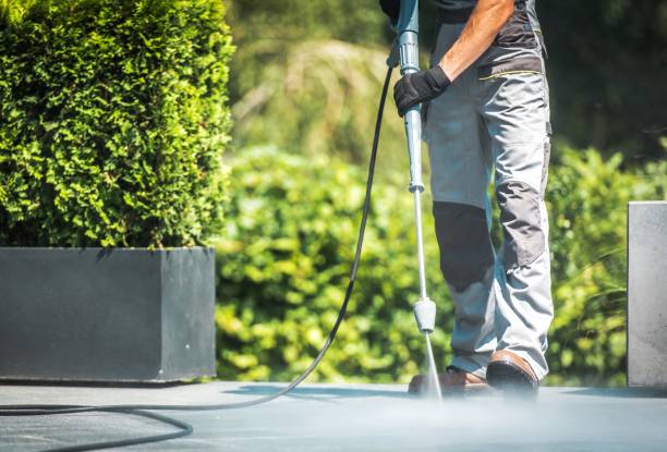 Best Solar Panel Cleaning  in The Pinery, CO